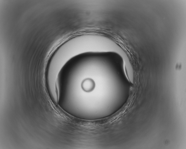 X0000094920293200712201226