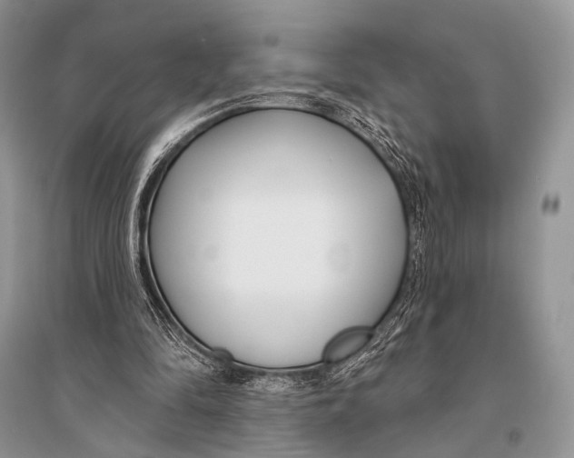 X0000094920294200712201226