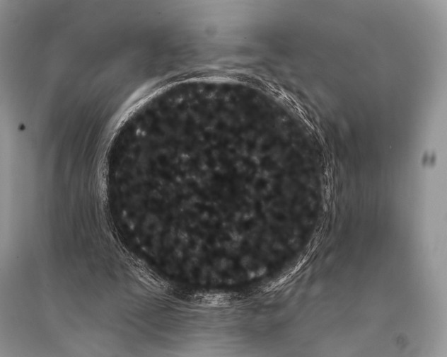 X0000094920295200712201226