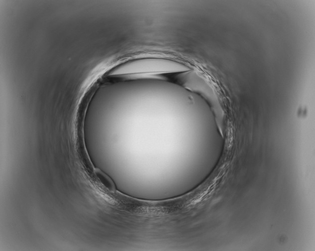 X0000094920296200712201226