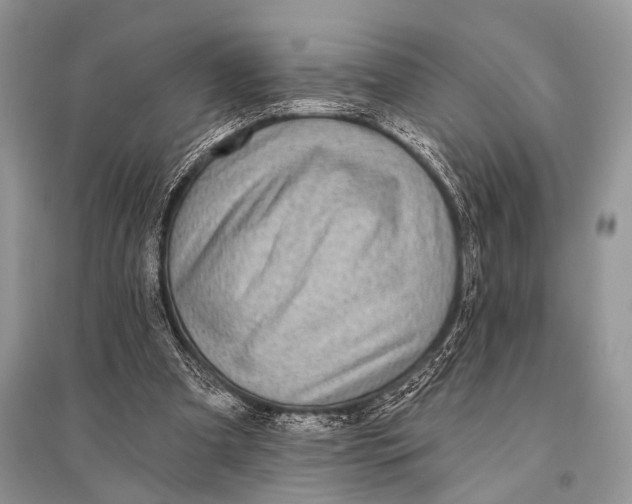 X0000094920297200712201226