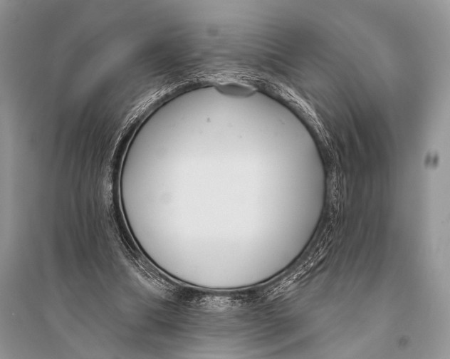 X0000094920298200712201226