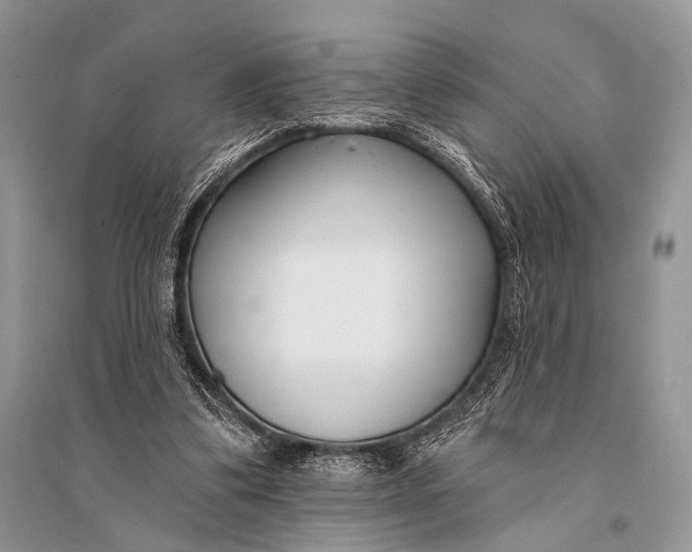 X0000094920299200712201226