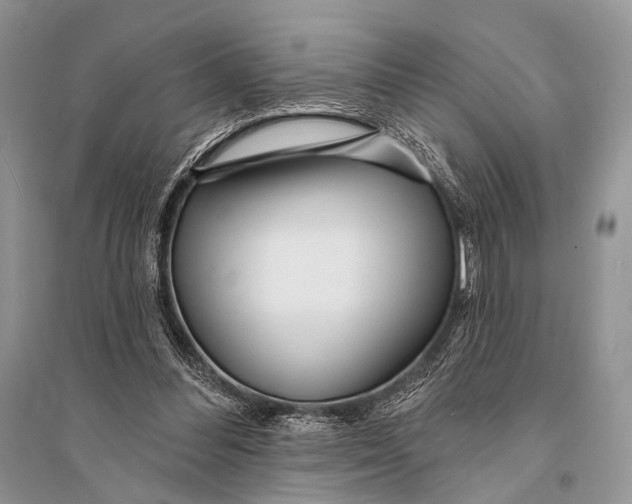 X0000094920300200712201226