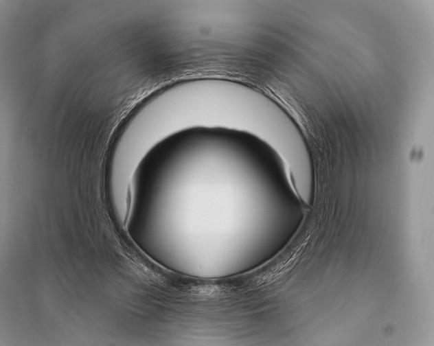 X0000094920301200712201226