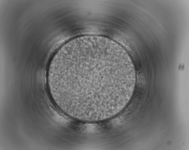 X0000094920302200712201226