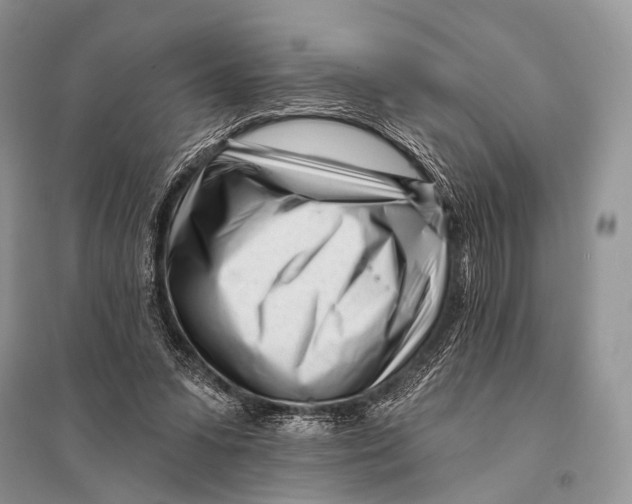 X0000094920303200712201226