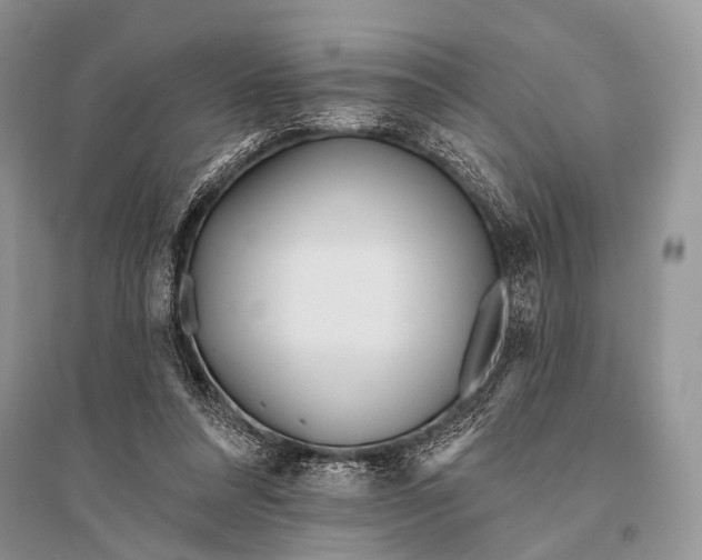 X0000094920304200712201226