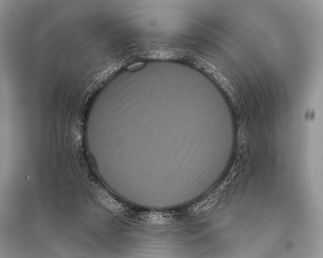X0000094920305200712201226