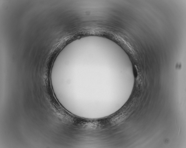 X0000094920306200712201226