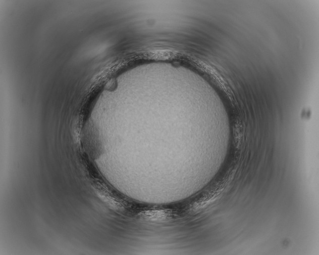 X0000094920307200712201226