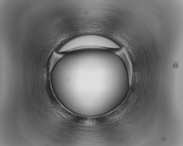 X0000094920308200712201226