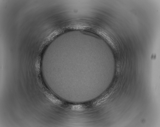 X0000094920309200712201226