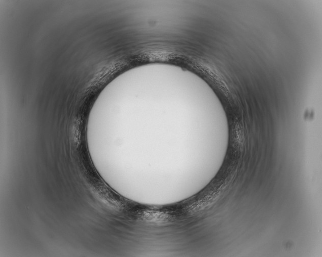X0000094920311200712201226