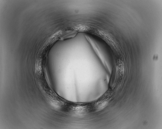 X0000094920312200712201226