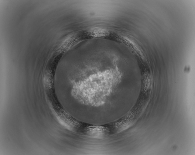 X0000094920316200712201226