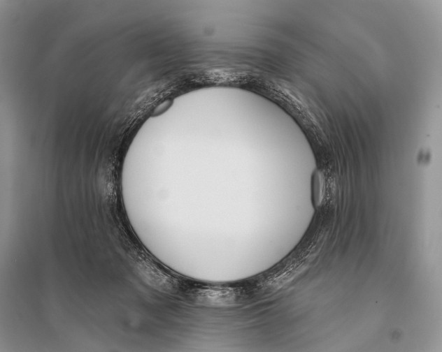 X0000094920317200712201226