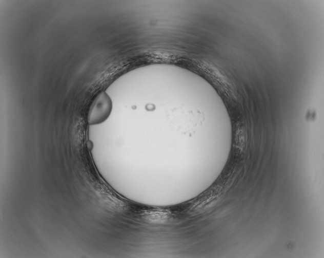 X0000094920318200712201226