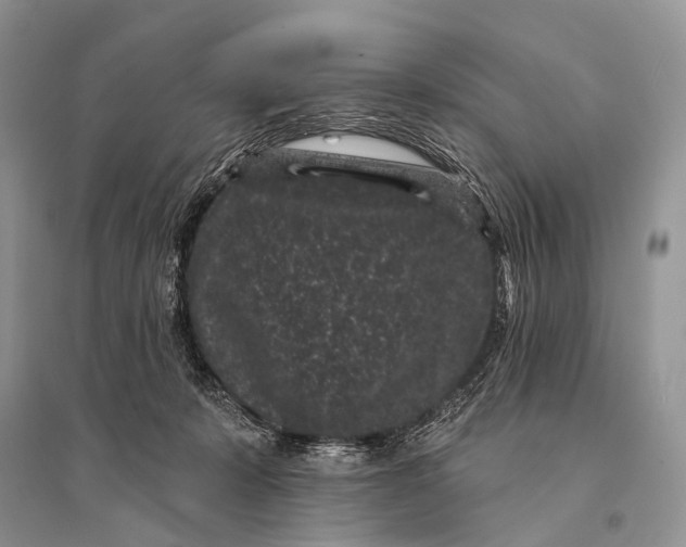 X0000094920319200712201225
