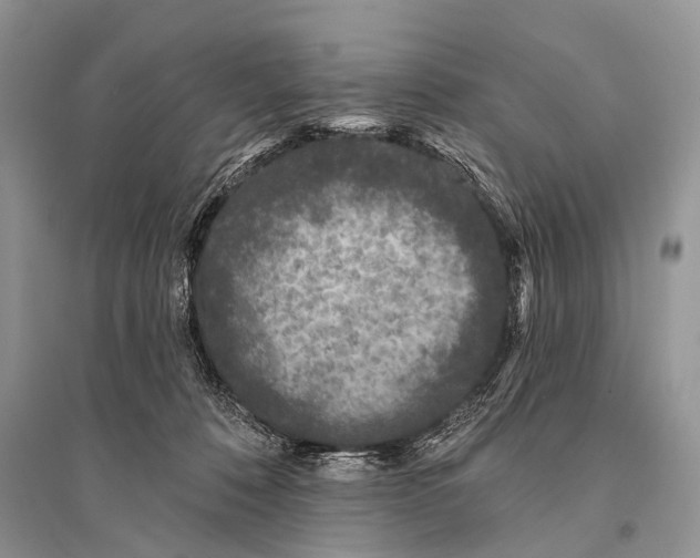 X0000094920320200712201225
