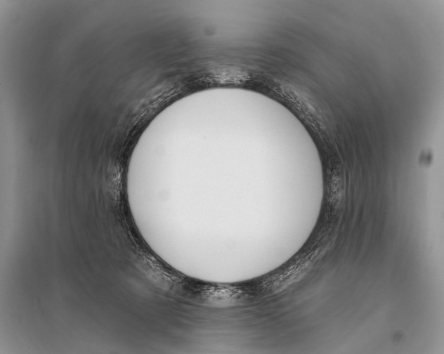 X0000094920321200712201225