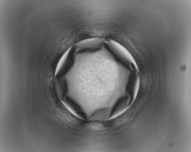 X0000094920322200712201225