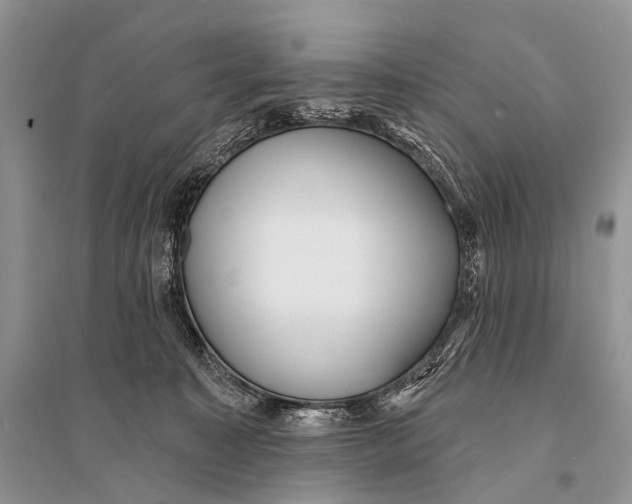X0000094920323200712201225