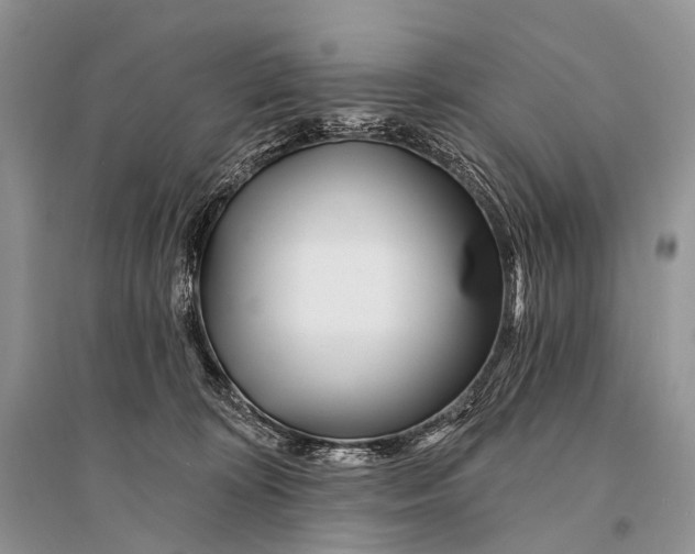X0000094920324200712201225