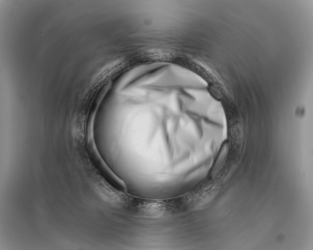 X0000094920325200712201225