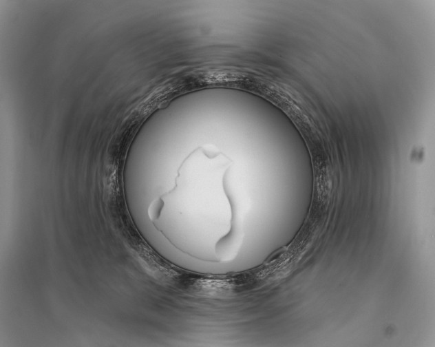 X0000094920327200712201225