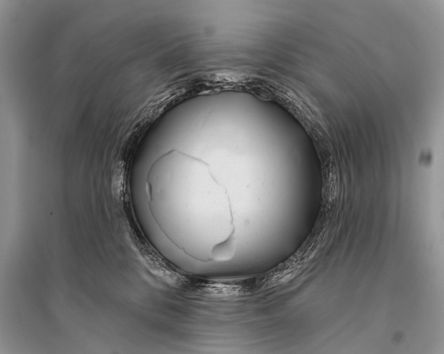 X0000094920328200712201225