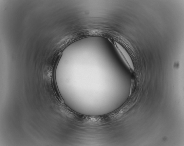 X0000094920329200712201225