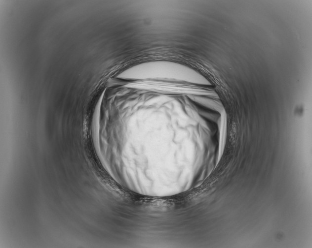 X0000094920330200712201225