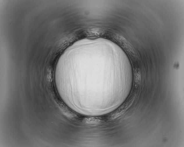 X0000094920331200712201225