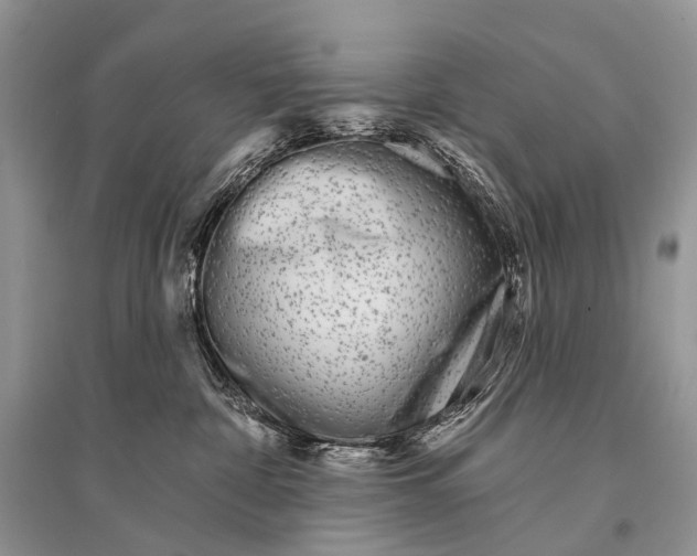 X0000094920332200712201225