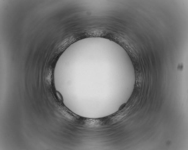 X0000094920334200712201225