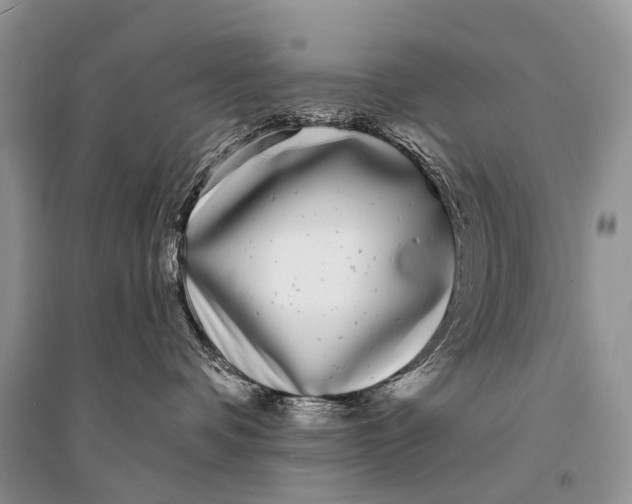 X0000094920336200712201225