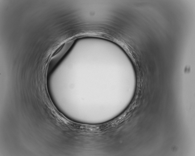 X0000094920337200712201224