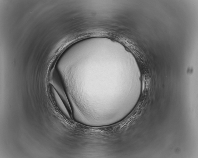 X0000094920339200712201224