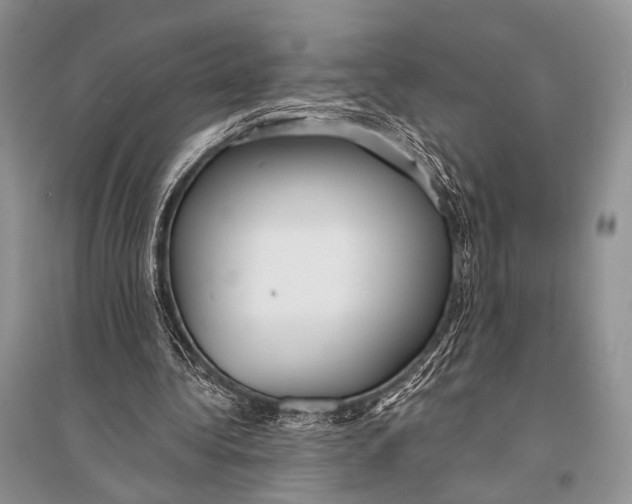 X0000094920340200712201224