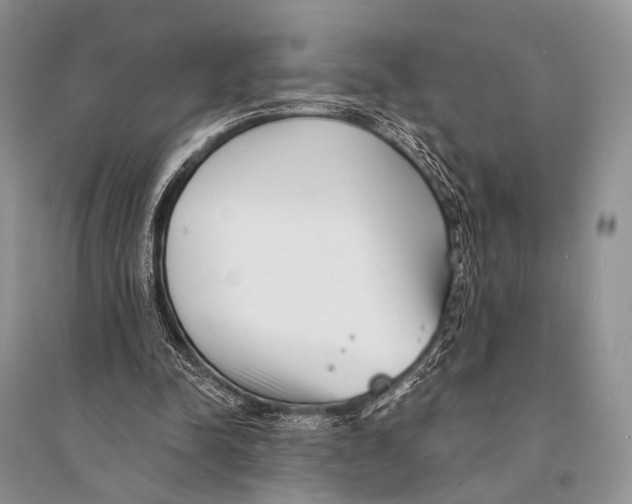 X0000094920342200712201224