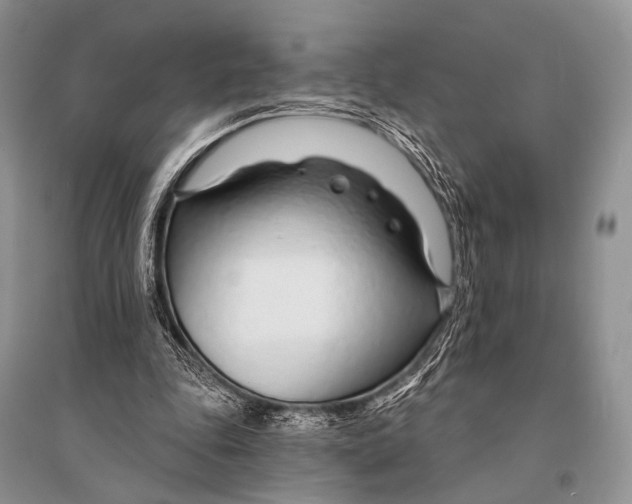 X0000094920343200712201225