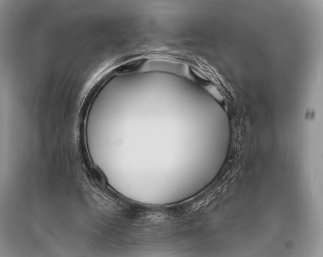 X0000094920344200712201225