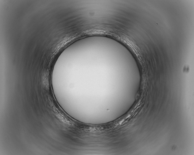X0000094920345200712201225