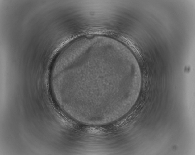 X0000094920346200712201225