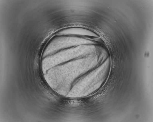 X0000094920347200712201225