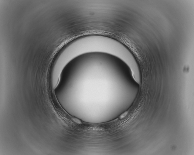 X0000094920348200712201225