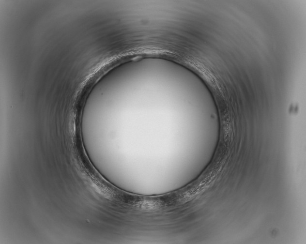 X0000094920350200712201225