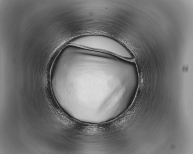 X0000094920351200712201225