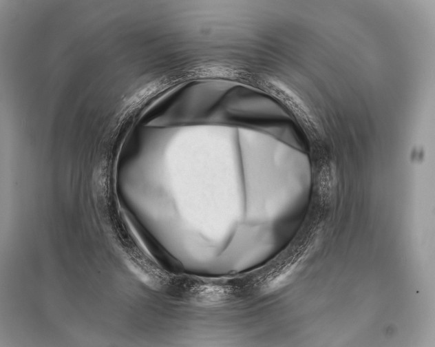 X0000094920352200712201225